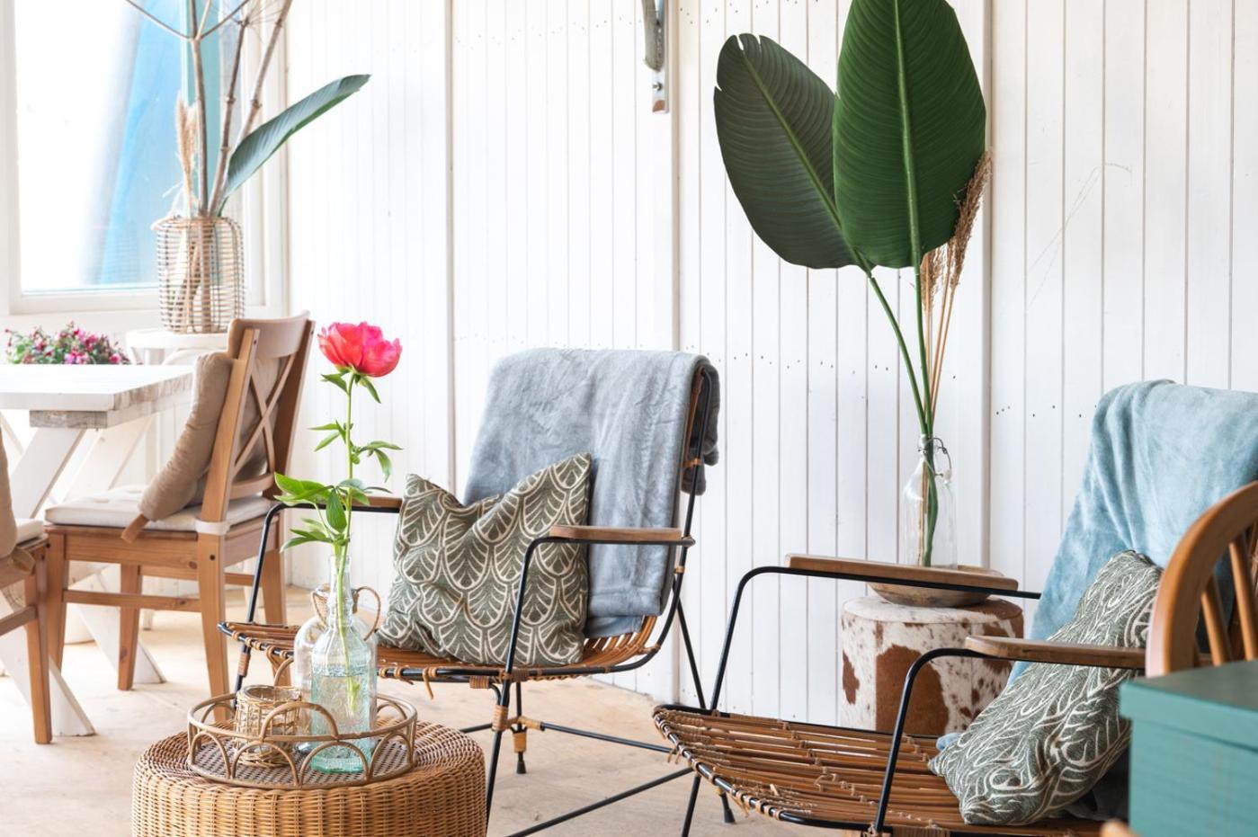 וייק אן זיי Rijk Aan Zee Ecolodges מראה חיצוני תמונה
